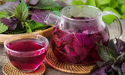 Cách nấu nước lá tía tô lên màu đẹp, thơm dịu mà vẫn giữ được nhiều hợp chất tốt