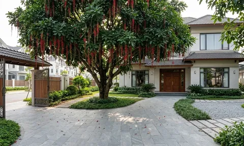 Trồng cây lộc vừng trước nhà có tốt không? Nhiều gia đình đặt sai vị trí mà không biết