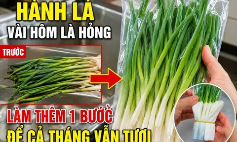 Hành lá vài hôm là hỏng, làm thêm 1 bước để cả tháng vẫn tươi