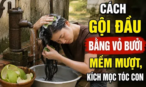 Cách gội đầu bằng vỏ bưởi mềm mượt, kích mọc tóc con