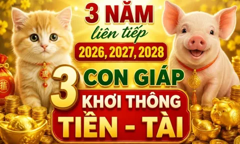 3 năm liên tiếp 2026, 2027, 2028: 3 con giáp khơi thông Tiền - Tài