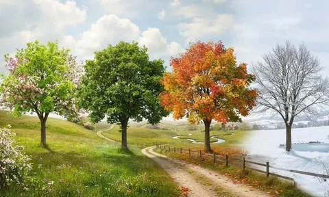 Trắc nghiệm: Chọn 1 cái cây bạn thích nhất sẽ nói lên nội tâm bên trong bạn