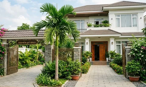 Vì sao nhiều gia đình thích trồng cây cau trước cửa? Không chỉ vì đẹp