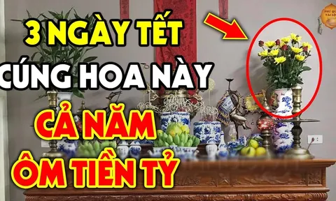 3 loai hoa đặt lên bàn thờ tiền về như nước giàu to: Đó là hoa nào?