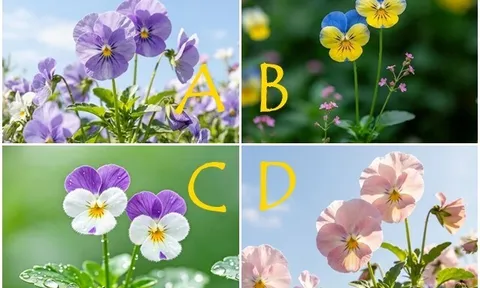 Trắc nghiệm: Người ấy “nghe lời” bạn vì yêu hay vì sợ? Chọn một bông hoa là rõ ngay