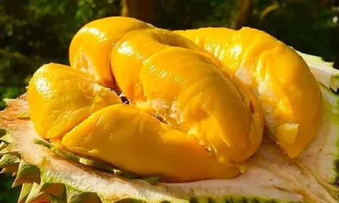 Ai không nên ăn sầu riêng?
