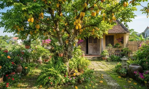 2 mệnh này trồng khế hút tài lộc vào nhà: Tiền đẻ ra tiền cực kỳ giàu có