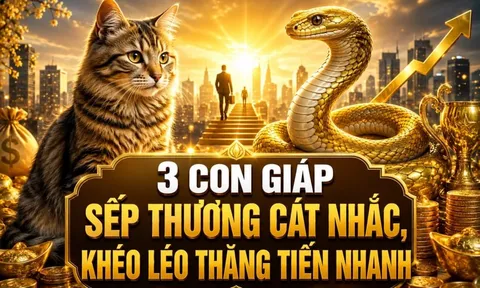 3 con giáp sếp thương cất nhắc, khéo léo thăng tiến nhanh