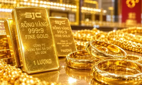 Bảng giá vàng 9999 24K 18K SJC DOJI PNJ hôm nay 21/8/2026