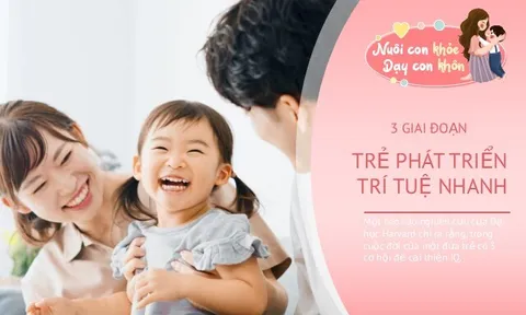 Giáo sư Harvard: Trẻ có 3 cơ hội trở nên thông minh trong đời, đừng bỏ lỡ