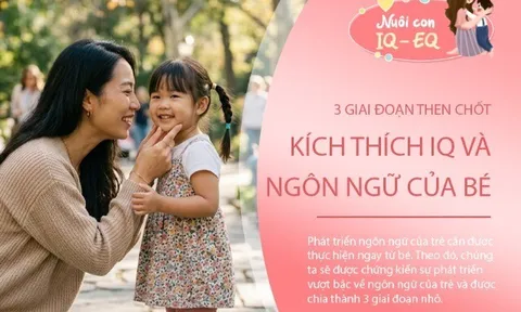 Đừng bỏ qua 3 giai đoạn then chốt trong những năm đầu đời, bởi đây là lúc não bộ và ngôn ngữ của bé phát triển mạnh