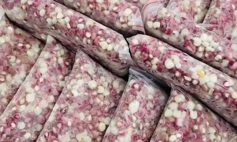 Món xưa "nhà nghèo" ăn đến chán ngán, nay thành đặc sản trong nhà hàng giá 65.000 đ/kg, người thành phố ưa chuộng
