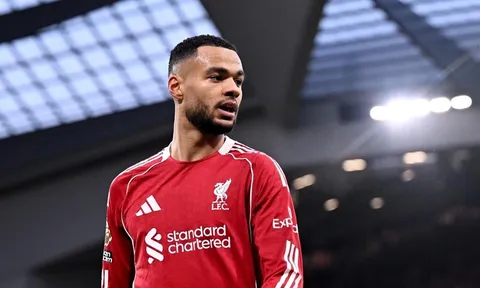 Romano xác nhận Tottenham đang đẩy nhanh vụ mua Gakpo