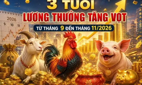 3 tuổi lương thưởng tăng vọt từ tháng 9 đến tháng 11/2026