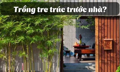 Có nên trồng tre trúc trước cổng nhà không?
