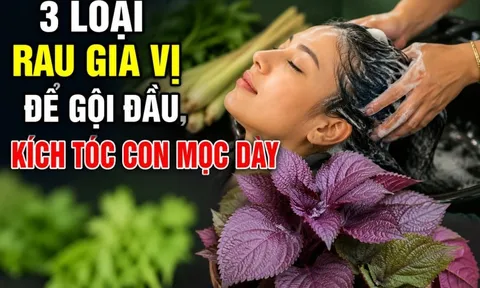 3 loại rau gia vị để gội đầu, kích tóc con mọc dày