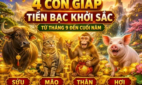 4 con giáp tiền bạc khởi sắc từ tháng 9 đến cuối năm