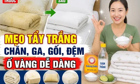 Mẹo tẩy trắng chăn, ga, gối, đệm ố vàng dễ dàng