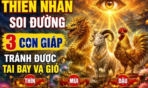Thiên Nhãn soi đường, 3 con giáp tránh được tai bay vạ gió