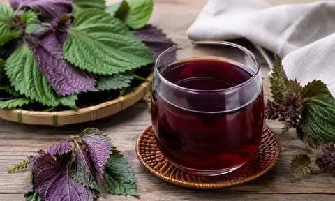 Uống tía tô nhớ tránh những sai lầm này, nhiều người đang mắc mà không hay