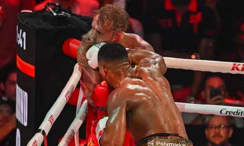 Dana White nể phục độ liều lĩnh của Jake Paul trước Anthony Joshua nhưng cự tuyệt chuyện hợp tác