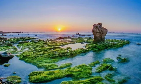 10 bãi biển đẹp ở Lâm Đồng, thích hợp để thư giãn dịp nghỉ lễ 2/9, chỉ cách TP.HCM từ 200km di chuyển