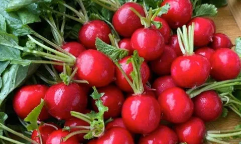 12 loại rau củ quả màu đỏ giàu vitamin và chất chống oxy hóa, ở chợ Việt bán nhiều, giá từ 25.000 đồng/kg