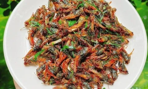 Con này xưa vứt cho gà ăn giờ là đặc sản, có giá hơn 200.000 đồng/kg, đem nấu kiểu này quá tốn bia