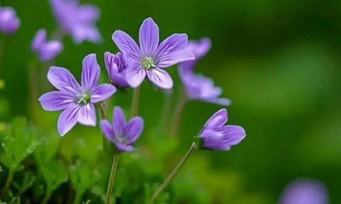 3 “thứ cũ” người khôn ngoan tuyệt đối buông bỏ ở tuổi trung niên, nhiều người vẫn cố nắm giữ