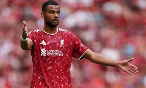 HLV Iraola lên tiếng về khả năng Gakpo rời Liverpool