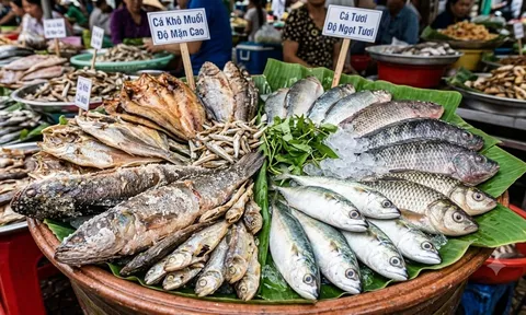 4 kiểu cá tưởng bổ nhưng ăn thường xuyên lại tiềm ẩn rủi ro sức khỏe, nhiều người vẫn vô tư dùng mỗi ngày