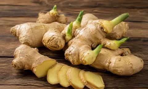 Gừng mọc mầm còn ăn được không, có độc không? Nhiều người đang hiểu nhầm điều này