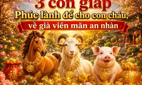 3 con giáp Phúc lành để cho con cháu, về già viên mãn an nhàn