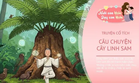 Truyện cổ tích: Sự tích cây linh sam