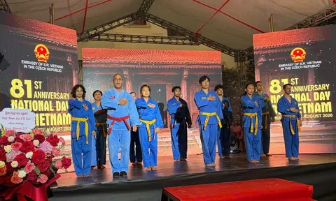 Vovinam Pháp biểu diễn tại Lễ kỷ niệm 81 năm Quốc khánh Việt Nam ở Cộng hòa Séc
