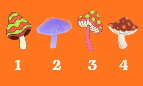 Trắc nghiệm tâm lý: Bằng trực giác, bạn nghĩ cây nấm nào có độc?