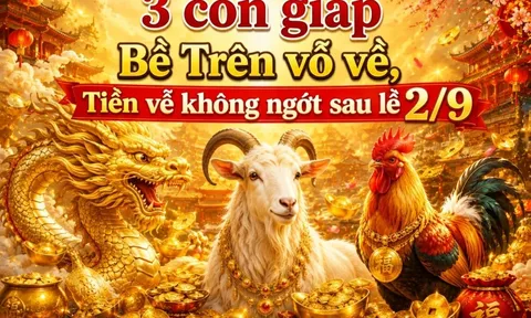 3 con giáp Bề Trên vỗ về, Tiền về không ngớt sau lễ 2/9