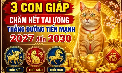 3 con giáp chấm hết tai ương thẳng đường tiến mạnh 2027 đến 2030