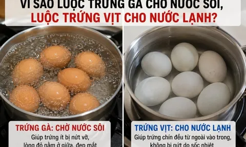 Vì sao luộc trứng gà chờ nước sôi, luộc trứng vịt cho nước lạnh?