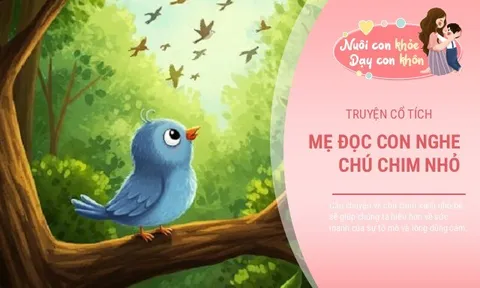 Truyện cổ tích: Chú chim xanh nhỏ