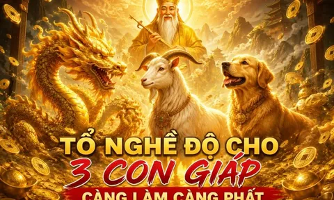 Tổ nghề độ cho, 3 con giáp càng làm càng phất