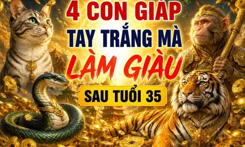 4 con giáp tay trắng mà làm giàu sau tuổi 35