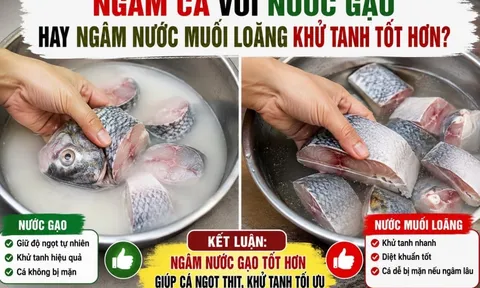 Ngâm cá với nước gạo hay ngâm nước muối loãng khử tanh tốt hơn?