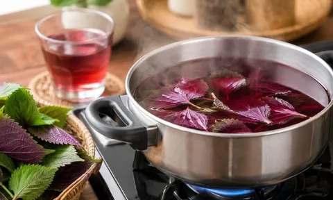 Nấu nước tía tô bao lâu là tốt nhất? Nhiều người đang làm sai bước này
