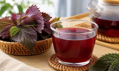 Những người nên hạn chế uống nước tía tô, tưởng lành nhưng không phải ai cũng phù hợp