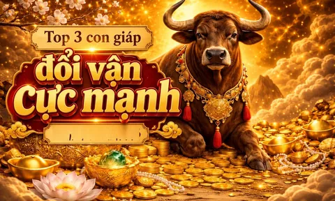 Xả Sạch xui xẻo, 3 con giáp nhận tin lương tăng thưởng lớn