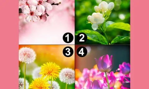 Trắc nghiệm tâm lý: Chọn một khu vườn mơ ước theo trực giác của bạn