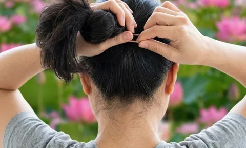 Tại sao bạn nên buộc cao tóc khi đi vệ sinh?