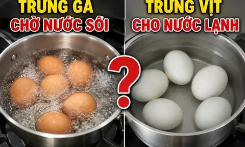 Tại sao luộc trứng vịt cho nước lạnh, luộc trứng gà chờ nước sôi?
