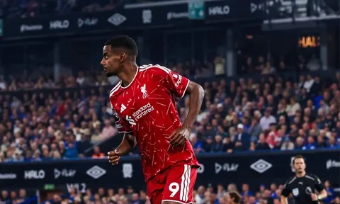 Chấm điểm Liverpool: Isak vào phom; Gakpo rực sáng